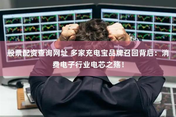 股票配资查询网址 多家充电宝品牌召回背后：消费电子行业电芯之殇！