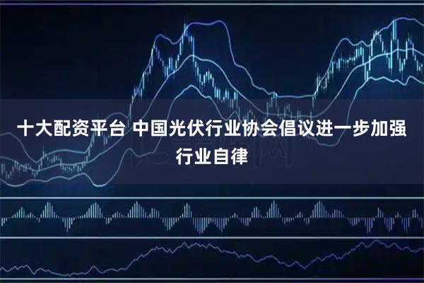 十大配资平台 中国光伏行业协会倡议进一步加强行业自律